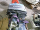 evinrude-60-vro-osina-kokokone-
