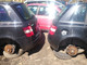 fiat-stilo-
