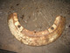 vannepainot-2-kpl-traktorin-