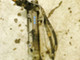 bmw-e46-hammastanko-