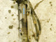bmw-e46-hammastanko-