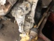 smart-forfour-13-