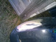 mercury-verado-