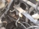 fiat-ducato-20-jtd-