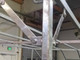 niewiadow-atlas-5x22aero-