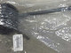 ski-doo-503191289-