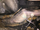 bmw-e60-e61-535d-katti-