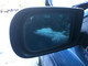 bmw-e39-himmenva-peili-