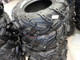 cst-wild-thang-26quot-