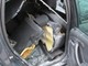 dacia-duster-