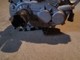 ligier-js50-seka-ixo-