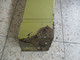 ford-focus-