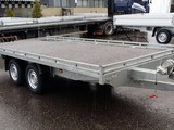 Niewiadow Atlas 5x2,5