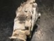 bmw-e60-e61-525ix-410-