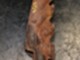 bmw-e9x-f30-f10-n57-n57n-