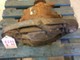 bmw-e39-520i-m52-m54-