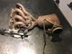 bmw-e8x-e9x-16i-18i-n43-