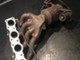 bmw-e8x-e9x-16i-18i-n43-