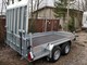 respo-bison-