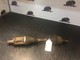 bmw-e90-e91-e92-vasen-etuvetari-