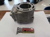 POLARIS  IQ R 600