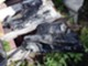 mercruiser-